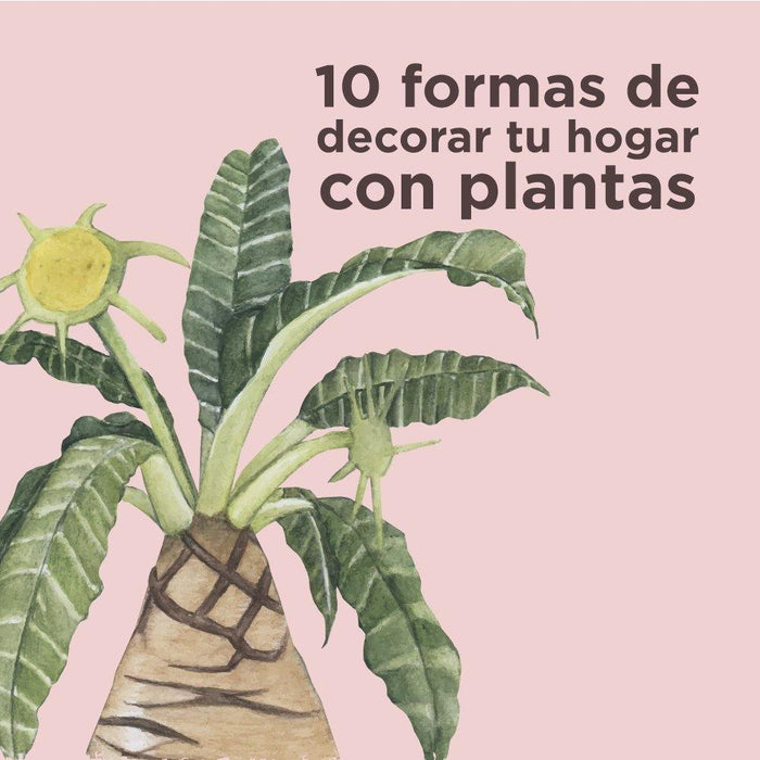 10 Ideas para decorar el Hogar con plantas - Mueblería El Pasito