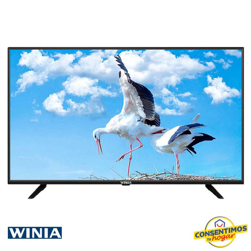 Televisor Daewoo/Winia L43B7500QN 43 Pulgadas Smart Tv FULL HD